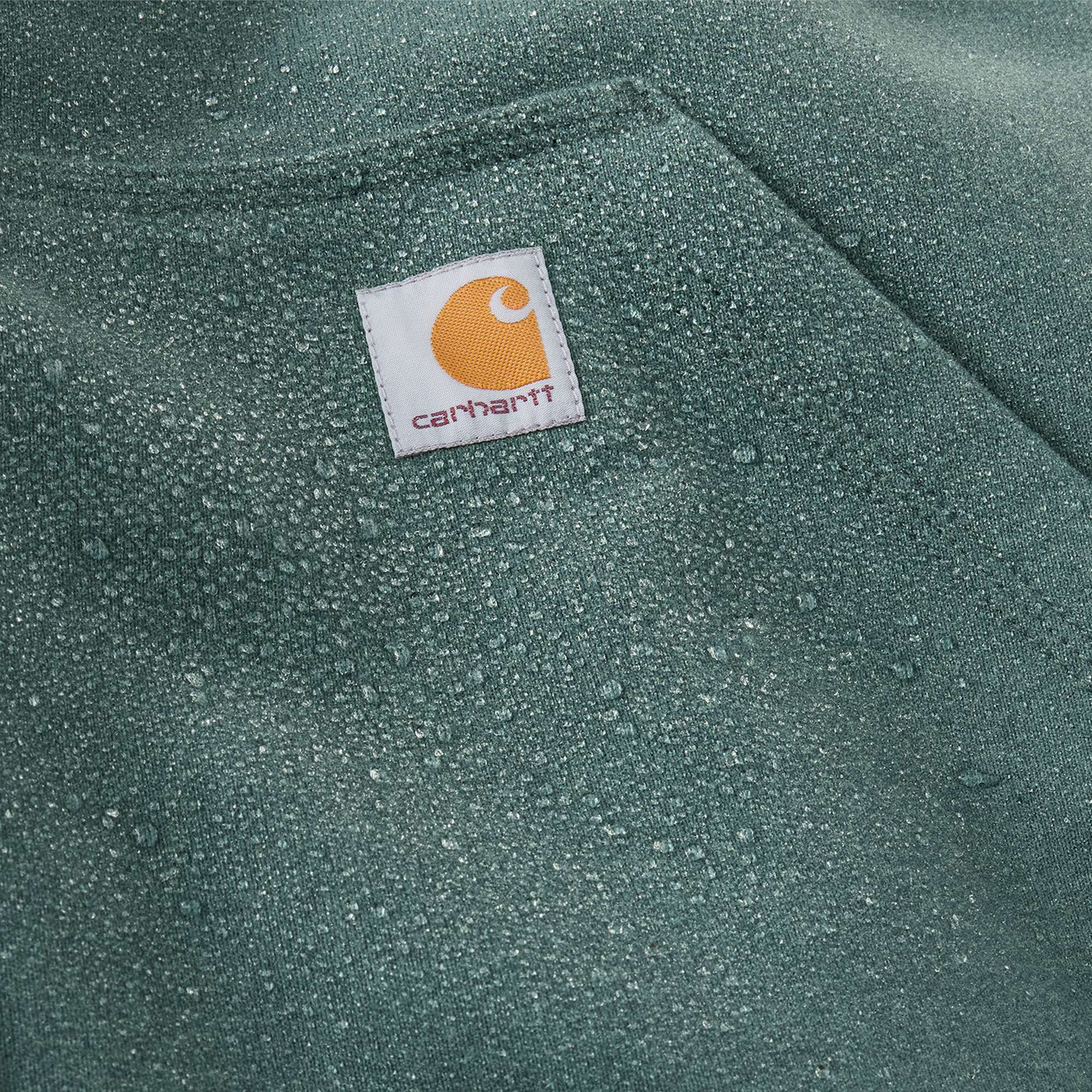 Men's paxton water repellent heavyweight full-zip hoodie - carhartt rain defender hoodies