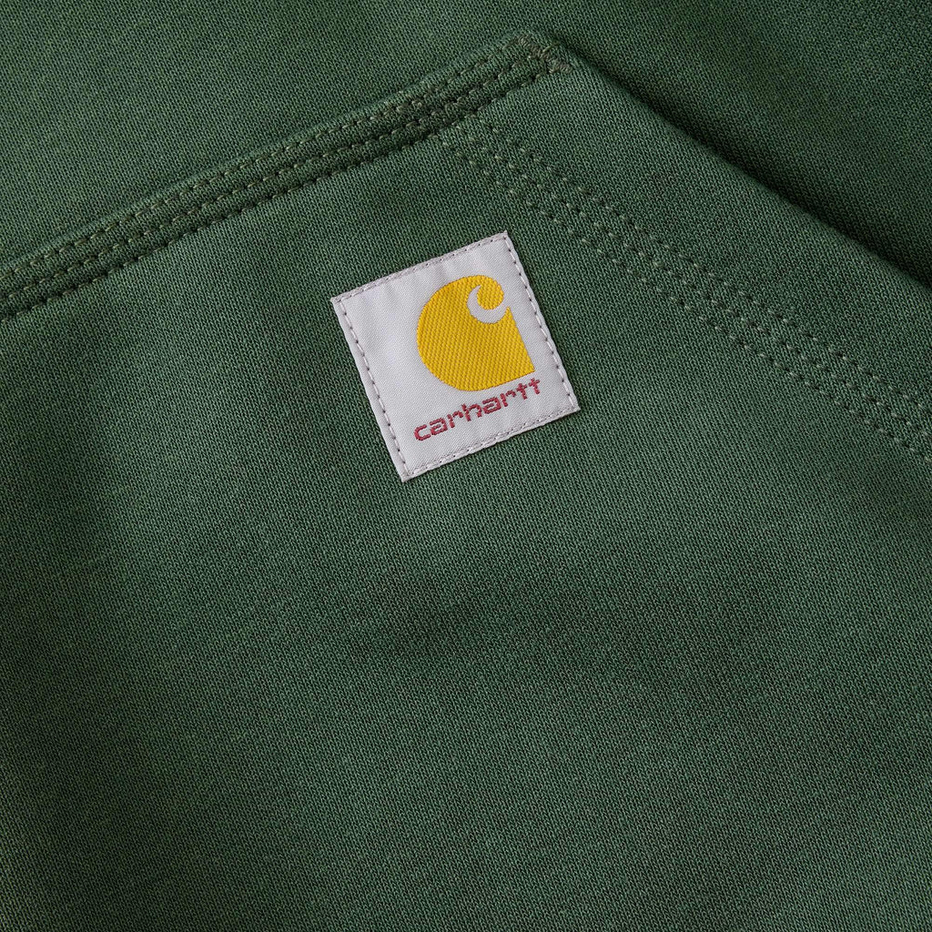 Men's paxton water repellent heavyweight hoodie - carhartt rain defender hoodies
