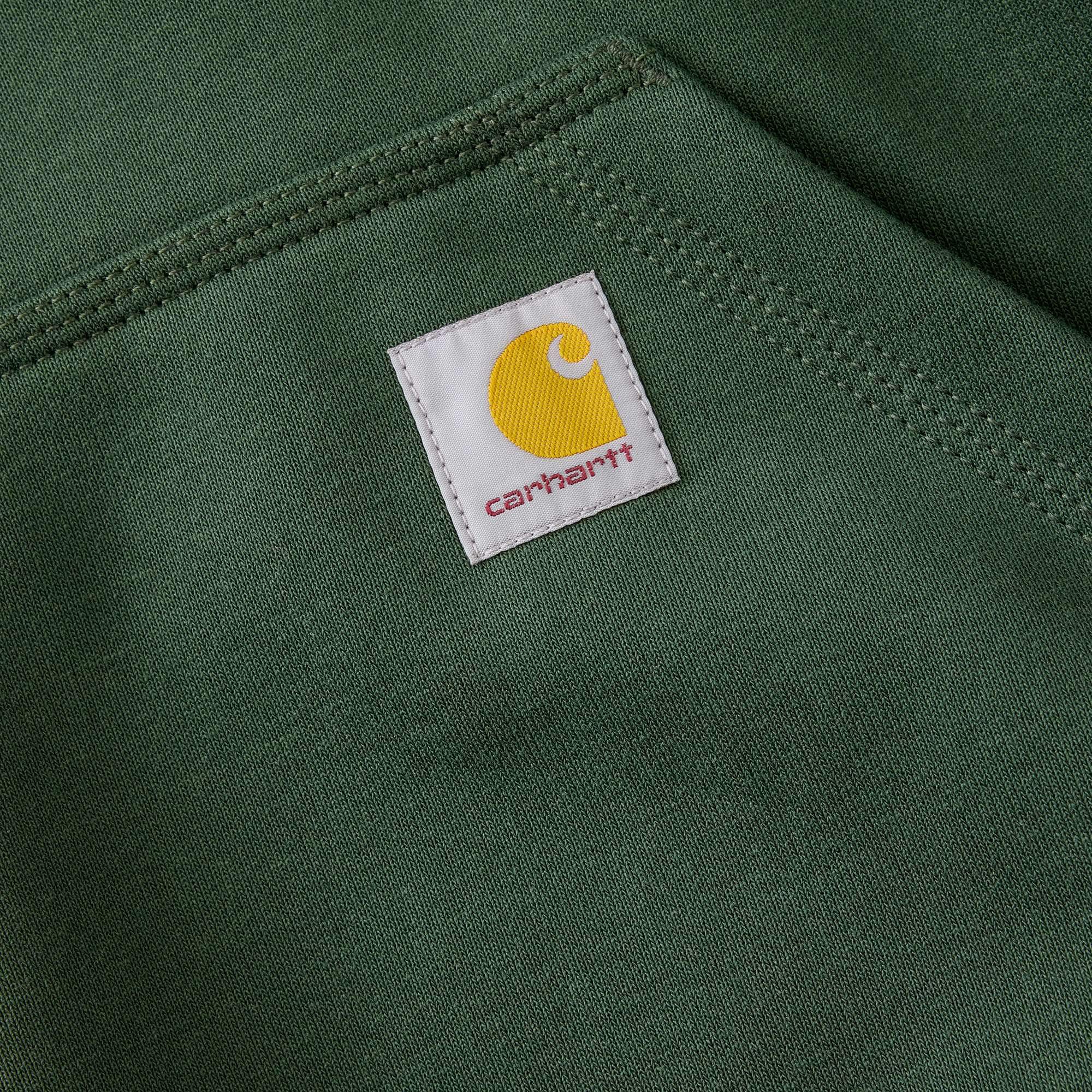 Men's paxton water repellent heavyweight hoodie - carhartt rain defender hoodies