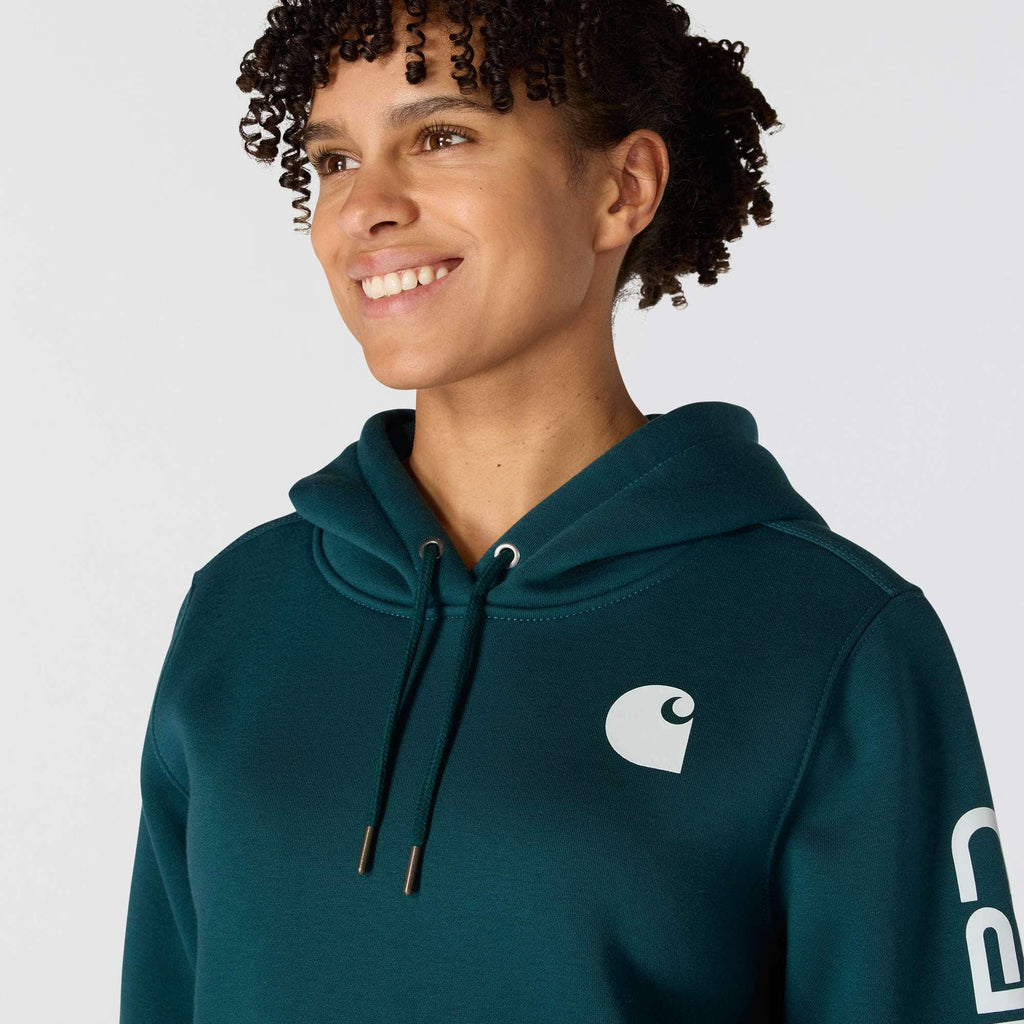 Women's iconic clarksburg relaxed fit fleece lined logo hoodie