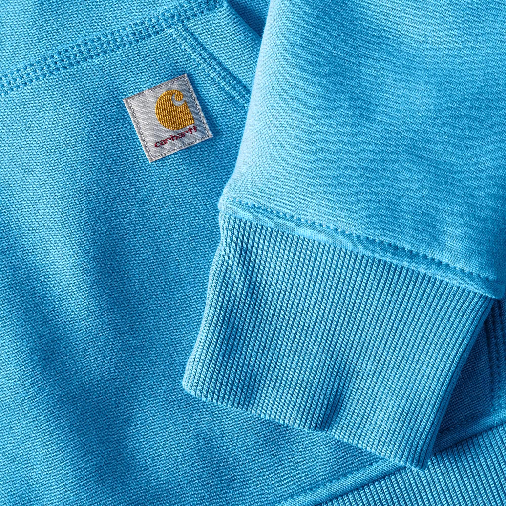 Women's iconic clarksburg relaxed fit fleece lined logo hoodie