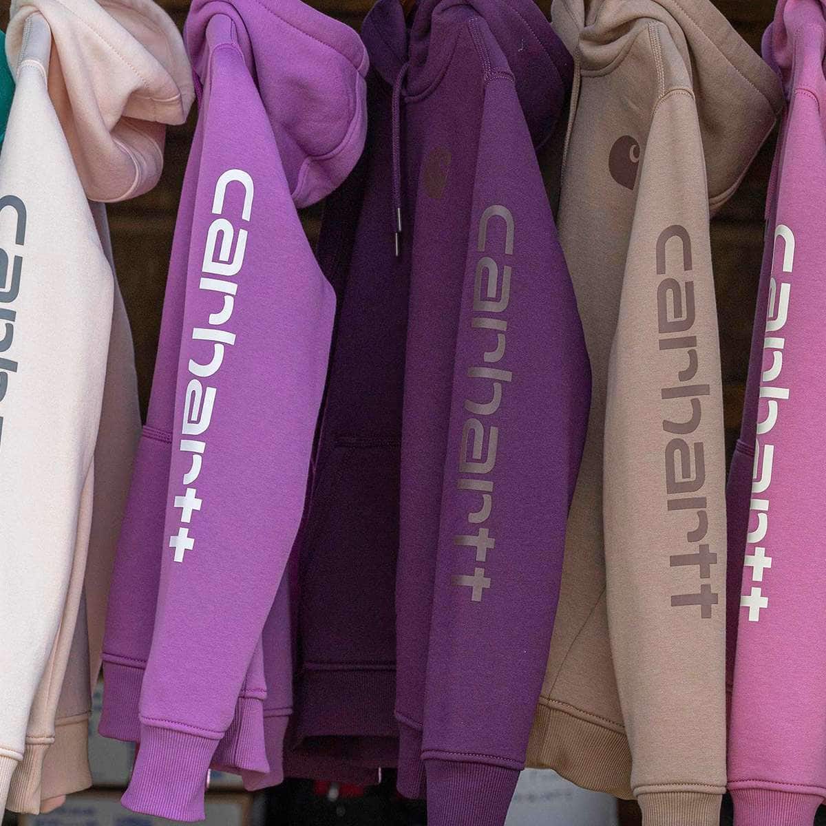 Women's iconic clarksburg relaxed fit fleece lined logo hoodie