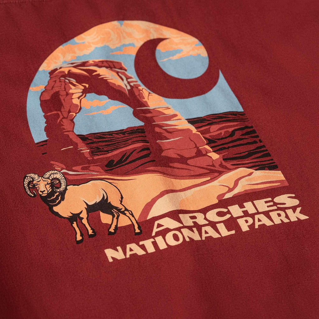 Men's heavyweight long sleeve arches national park graphic t-shirt