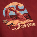 Men's heavyweight long sleeve arches national park graphic t-shirt