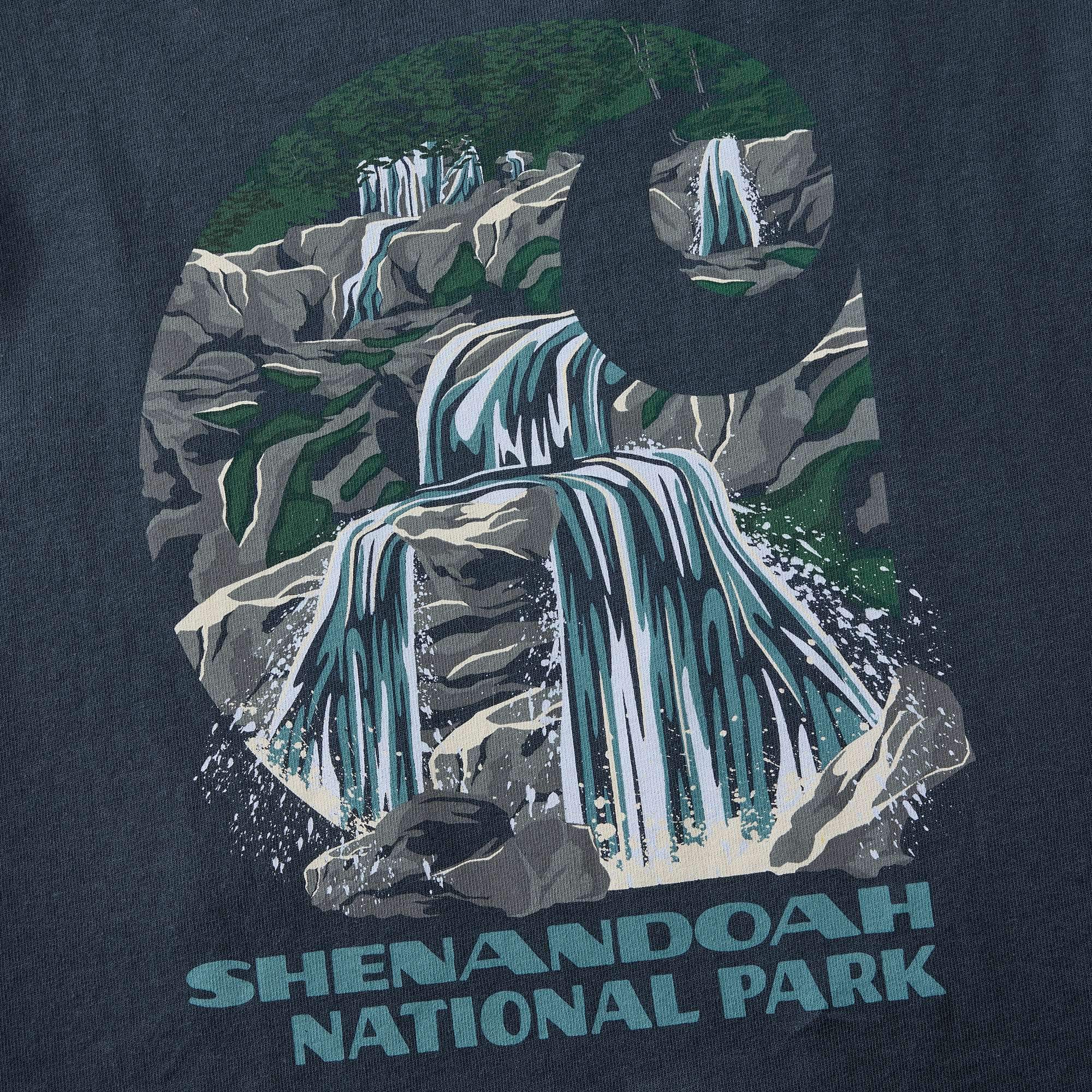Men's shenandoah national park graphic t-shirt
