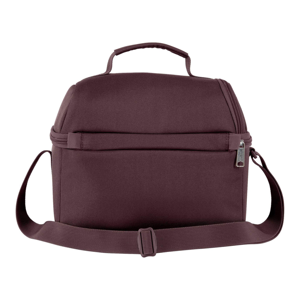 Insulated 12 can two compartment lunch cooler