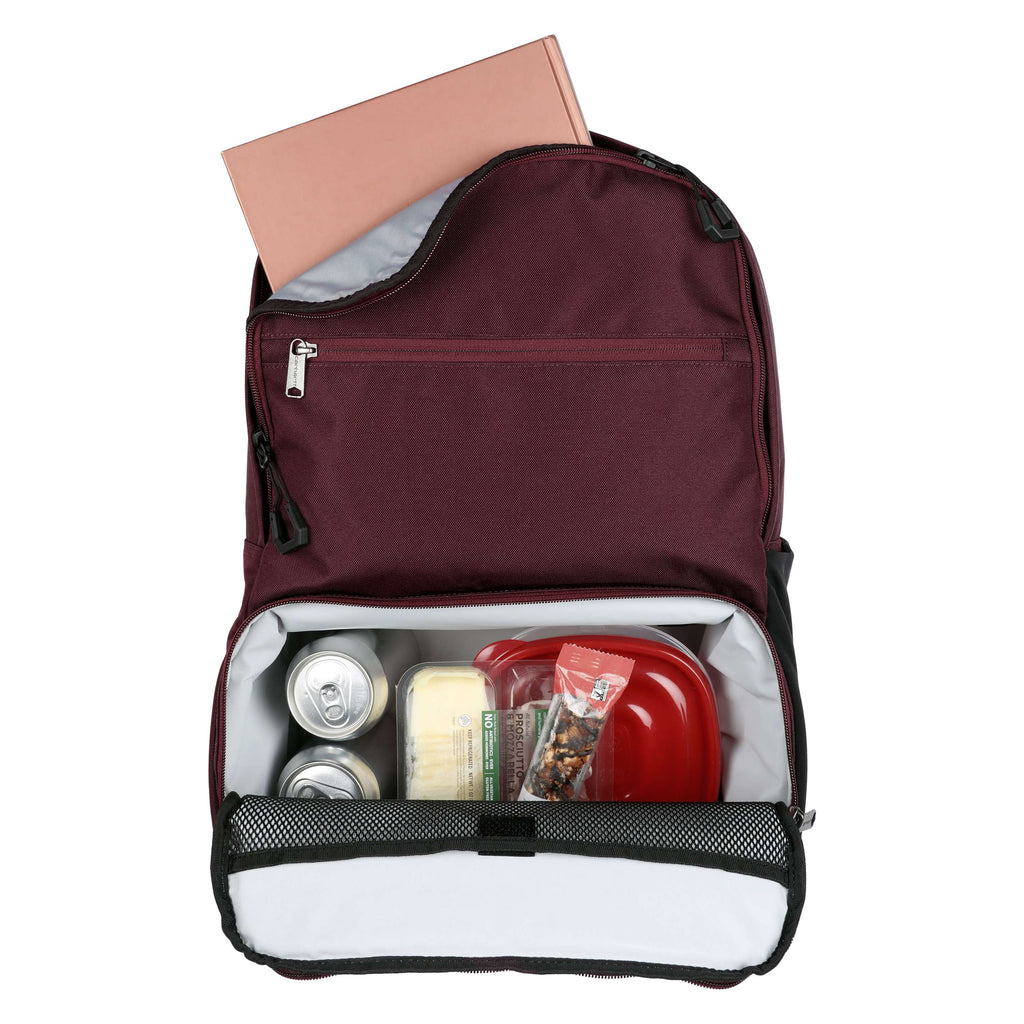Insulated two compartment cooler backpack