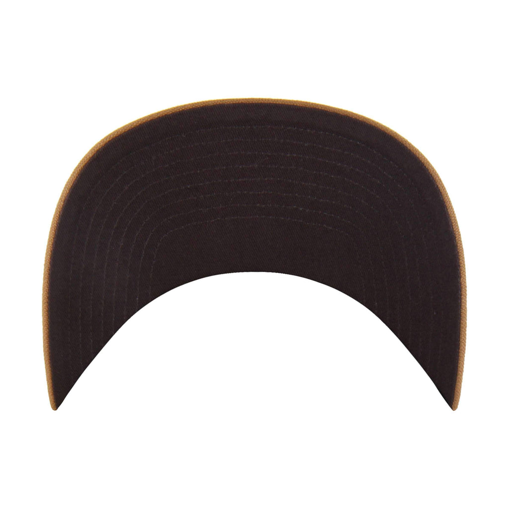 Minnesota twins '47 trucker