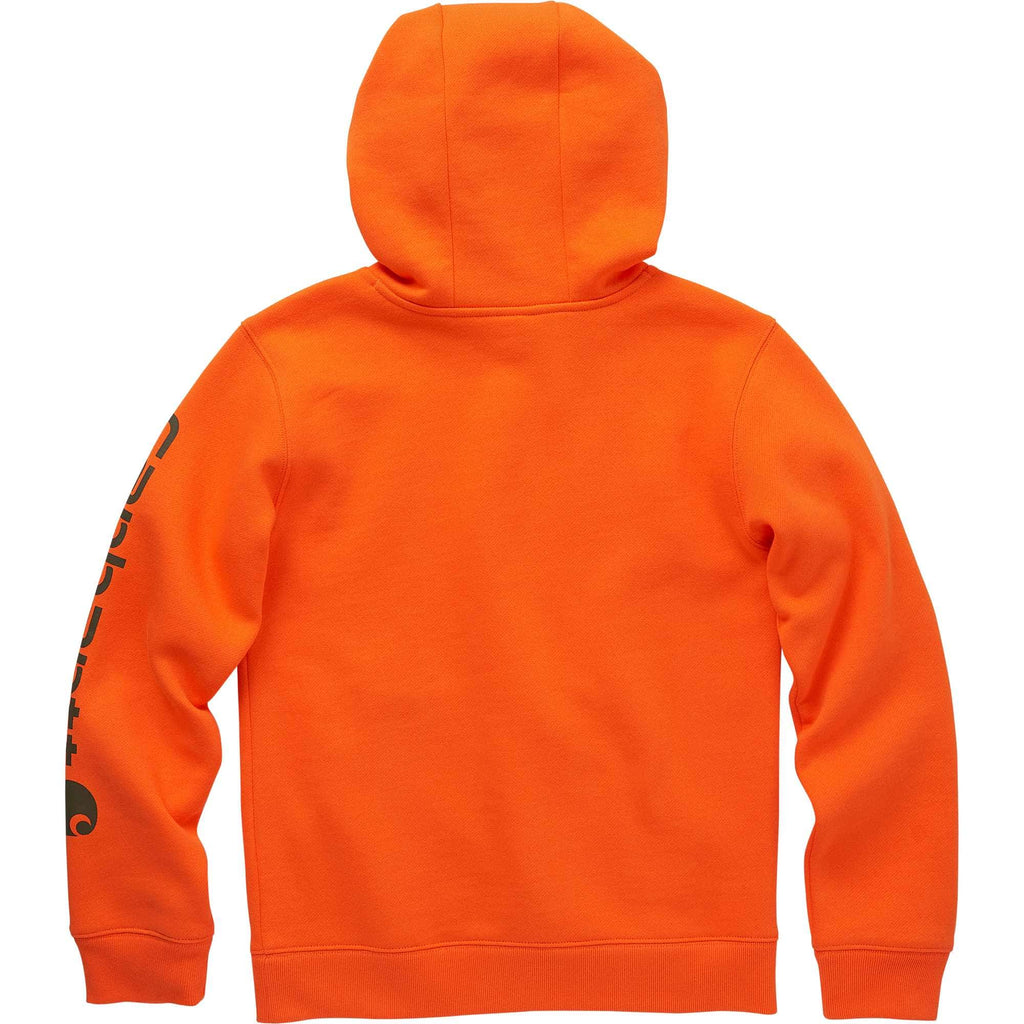 Boys' long-sleeve graphic sweatshirt (toddler/child/youth)