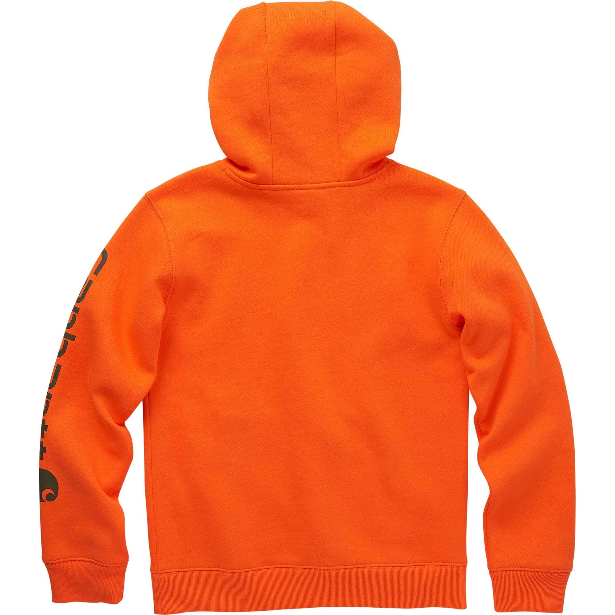 Boys' long-sleeve graphic sweatshirt (toddler/child/youth)