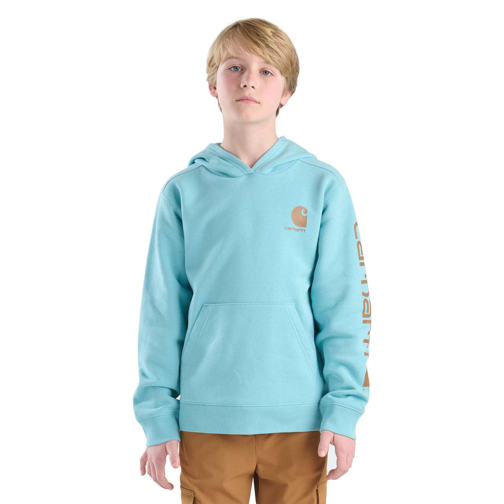 Boys' long sleeve graphic sweatshirt (child/youth)