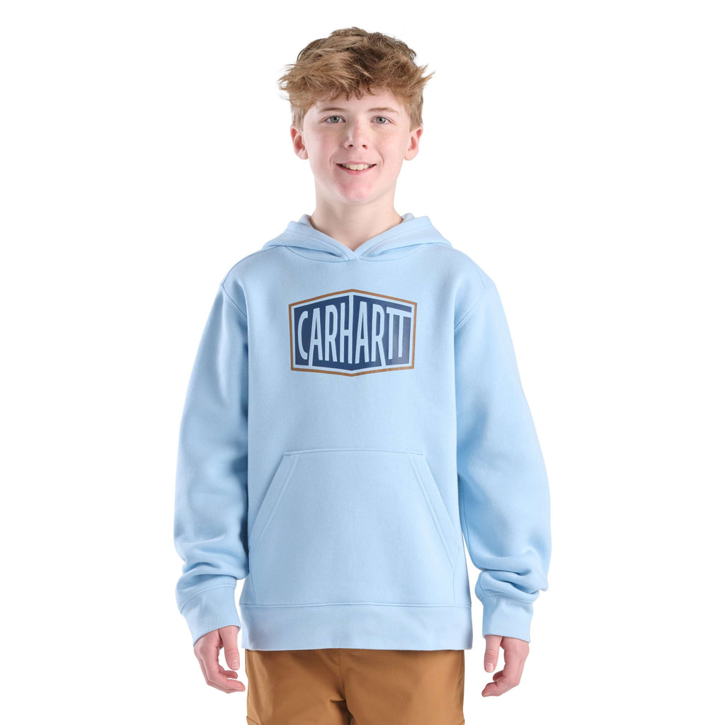 Boys' long sleeve graphic sweatshirt (toddler/child/youth)