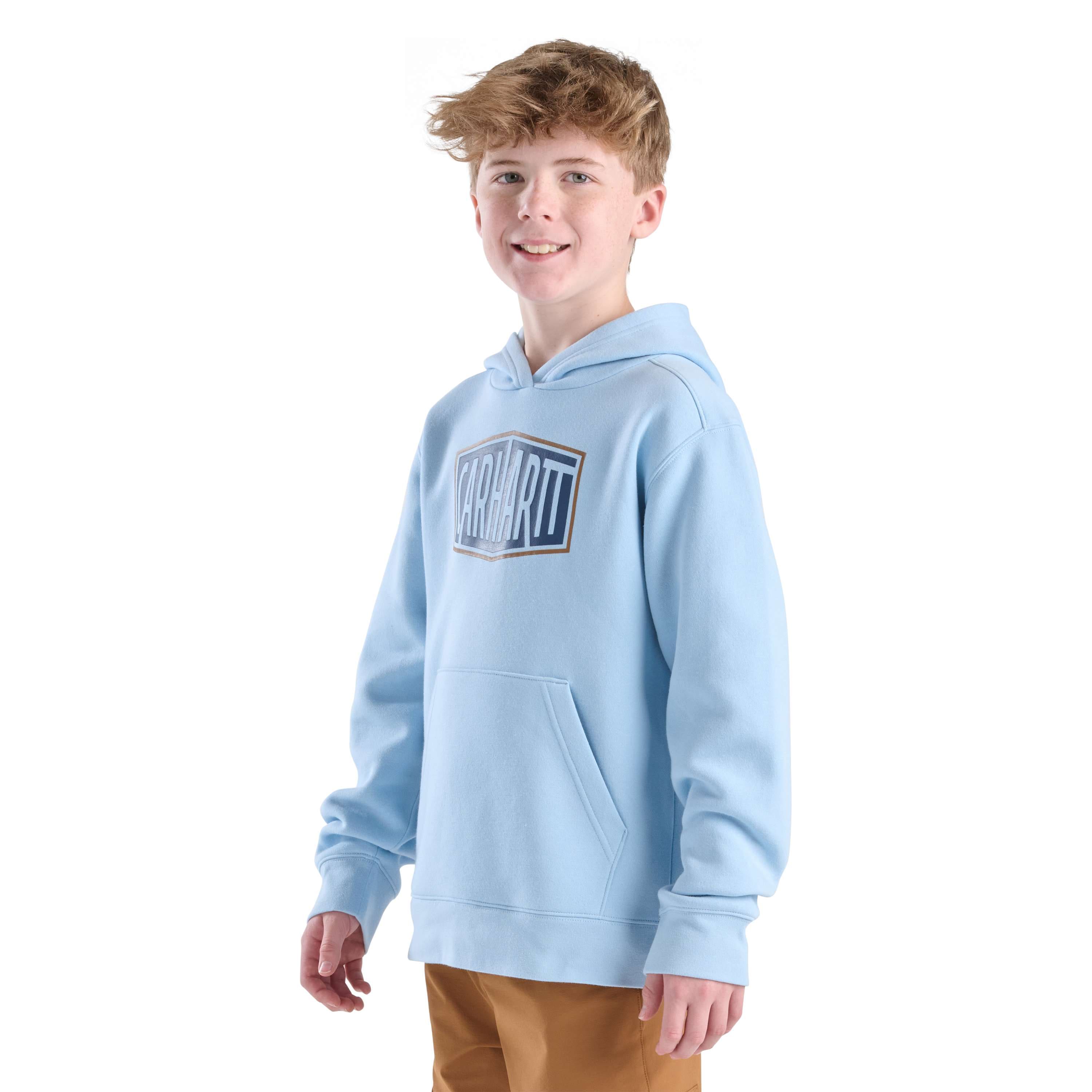 Boys' long sleeve graphic sweatshirt (toddler/child/youth)