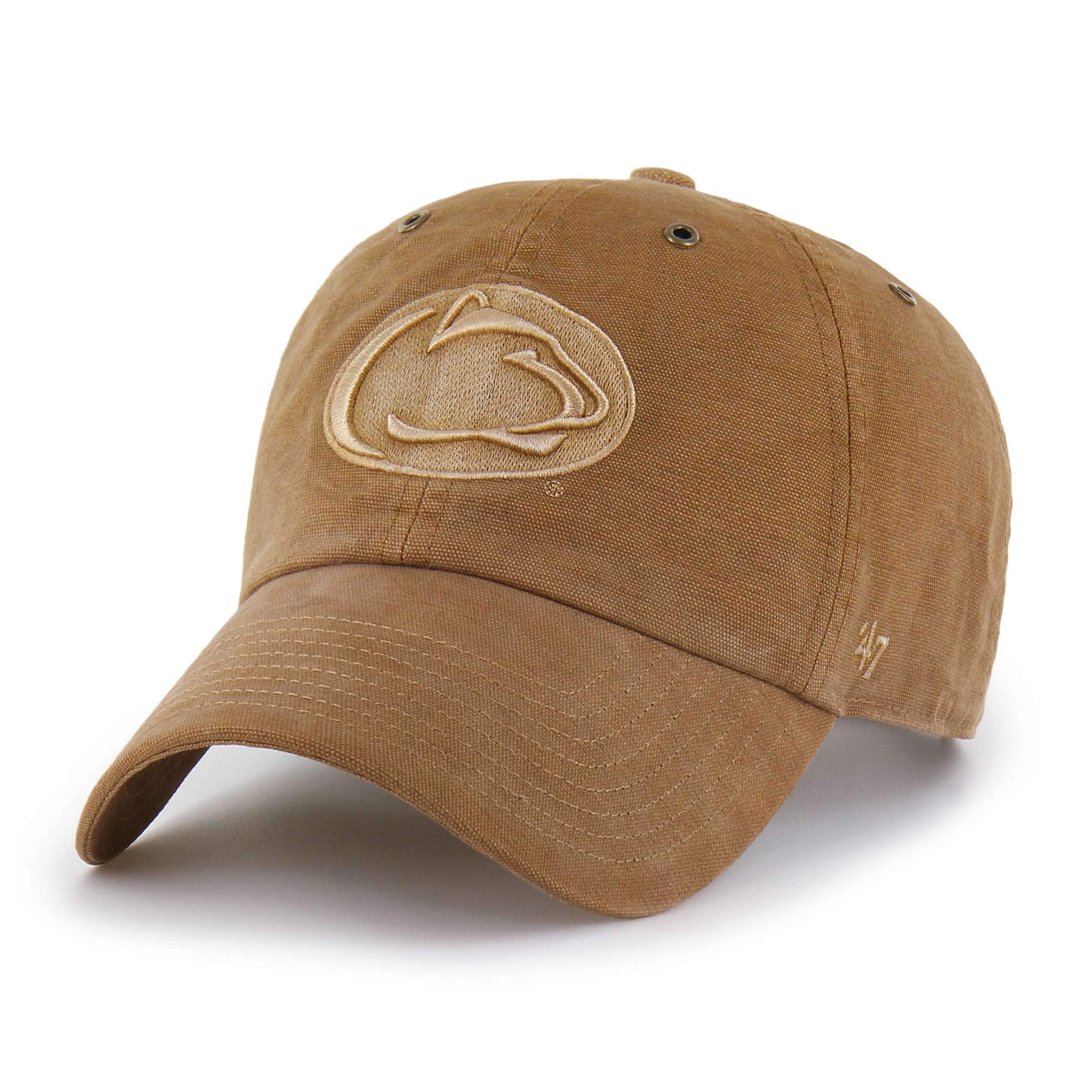 Penn state nittany lions '47 dyed clean up