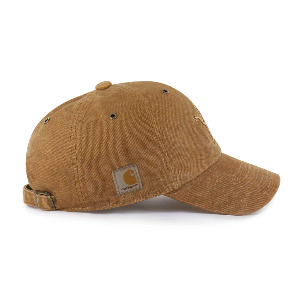 Detroit lions '47 dyed clean up