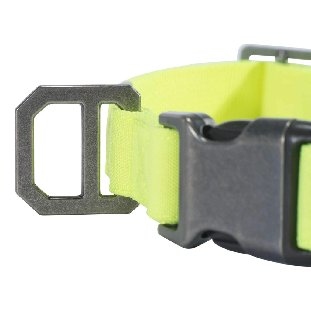 Nylon duck dog collar