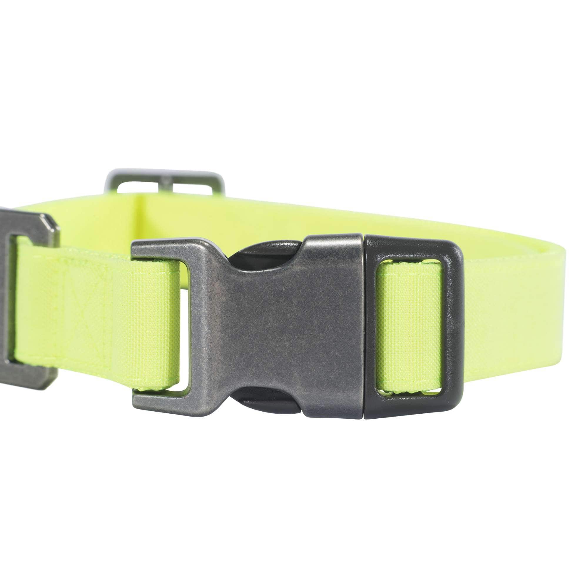 Nylon duck dog collar