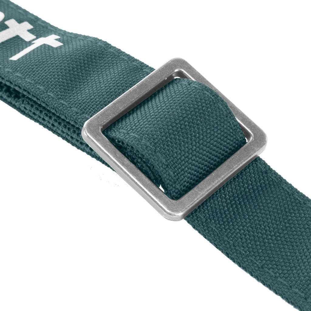 Field dog collar
