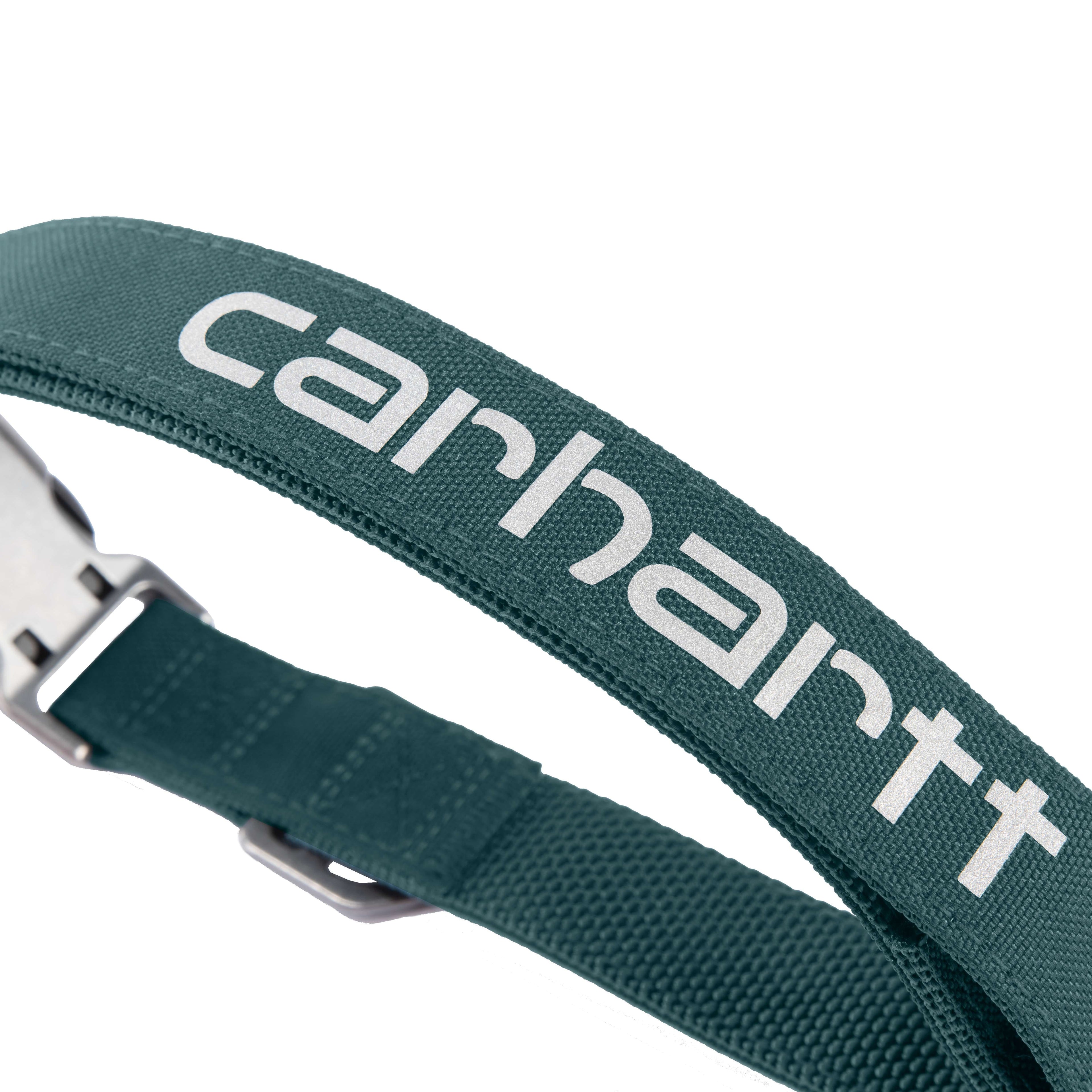 Field dog collar