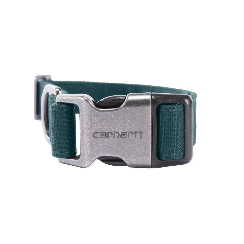 Field dog collar