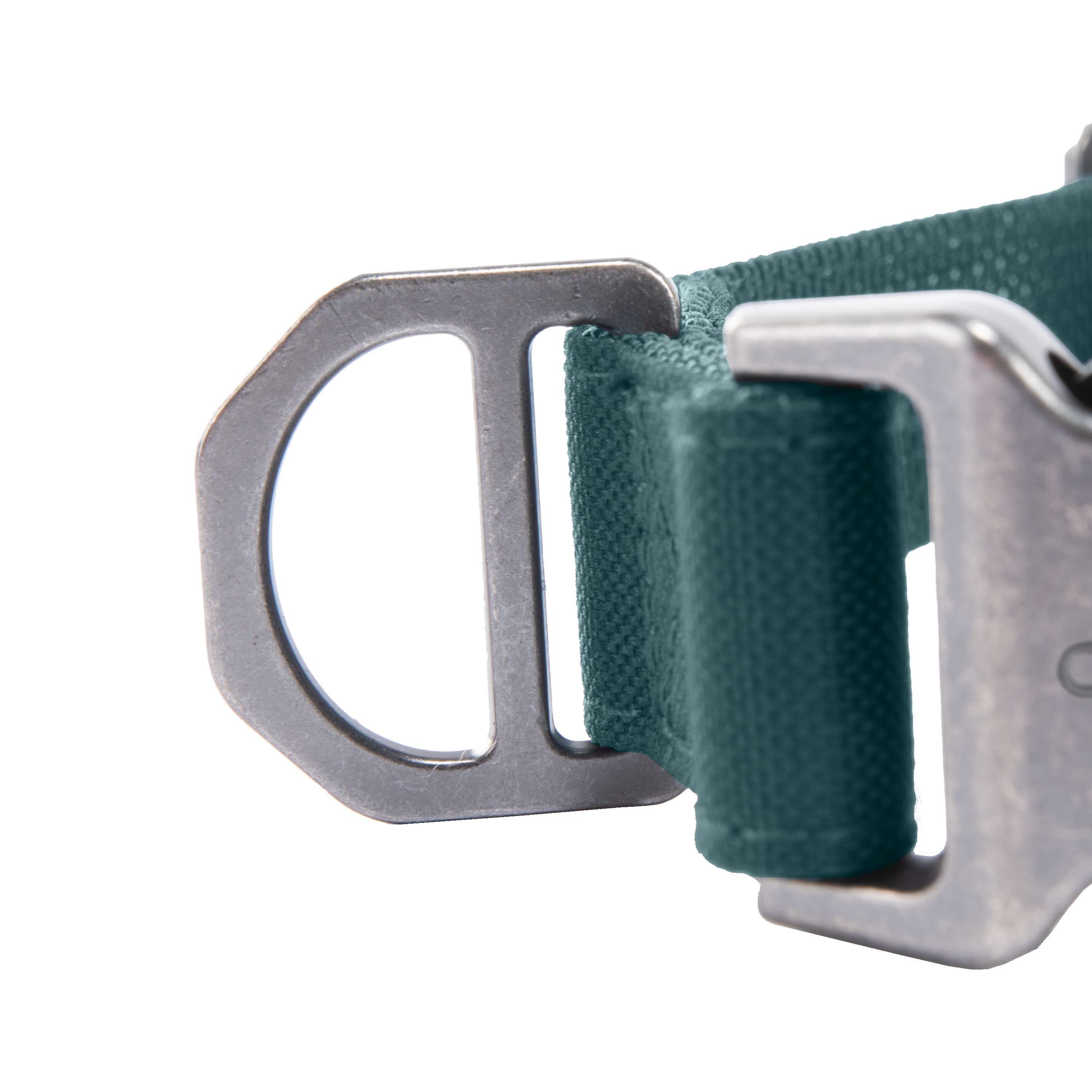 Field dog collar