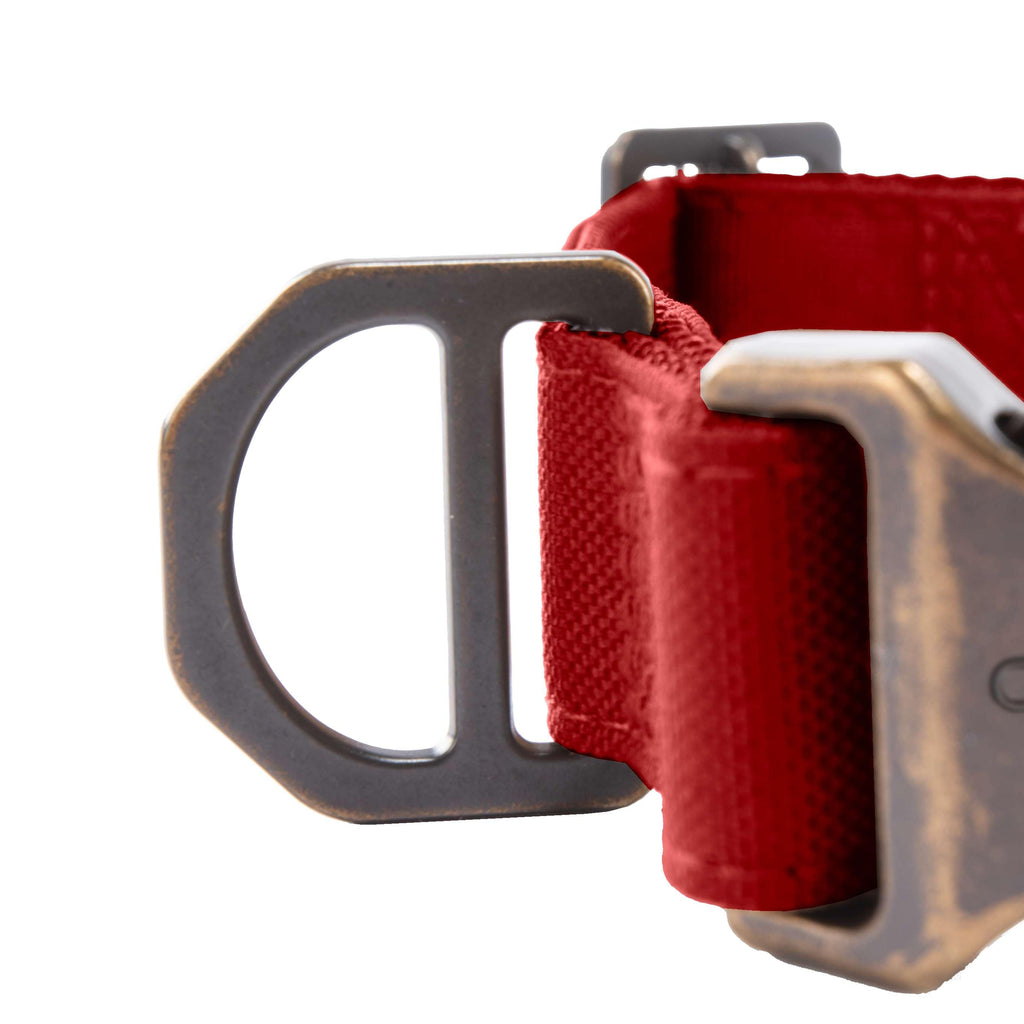 Field dog collar