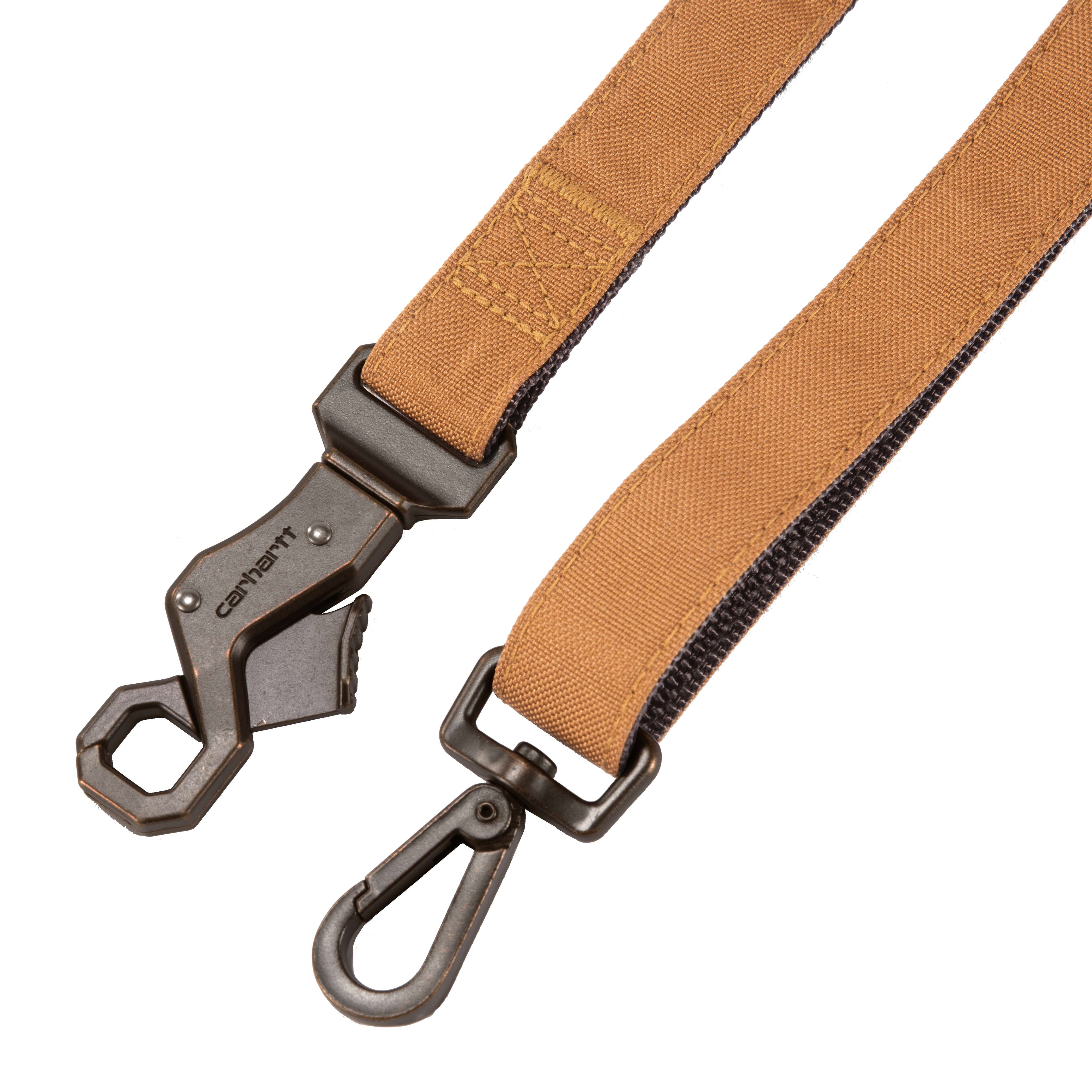 Field dog leash