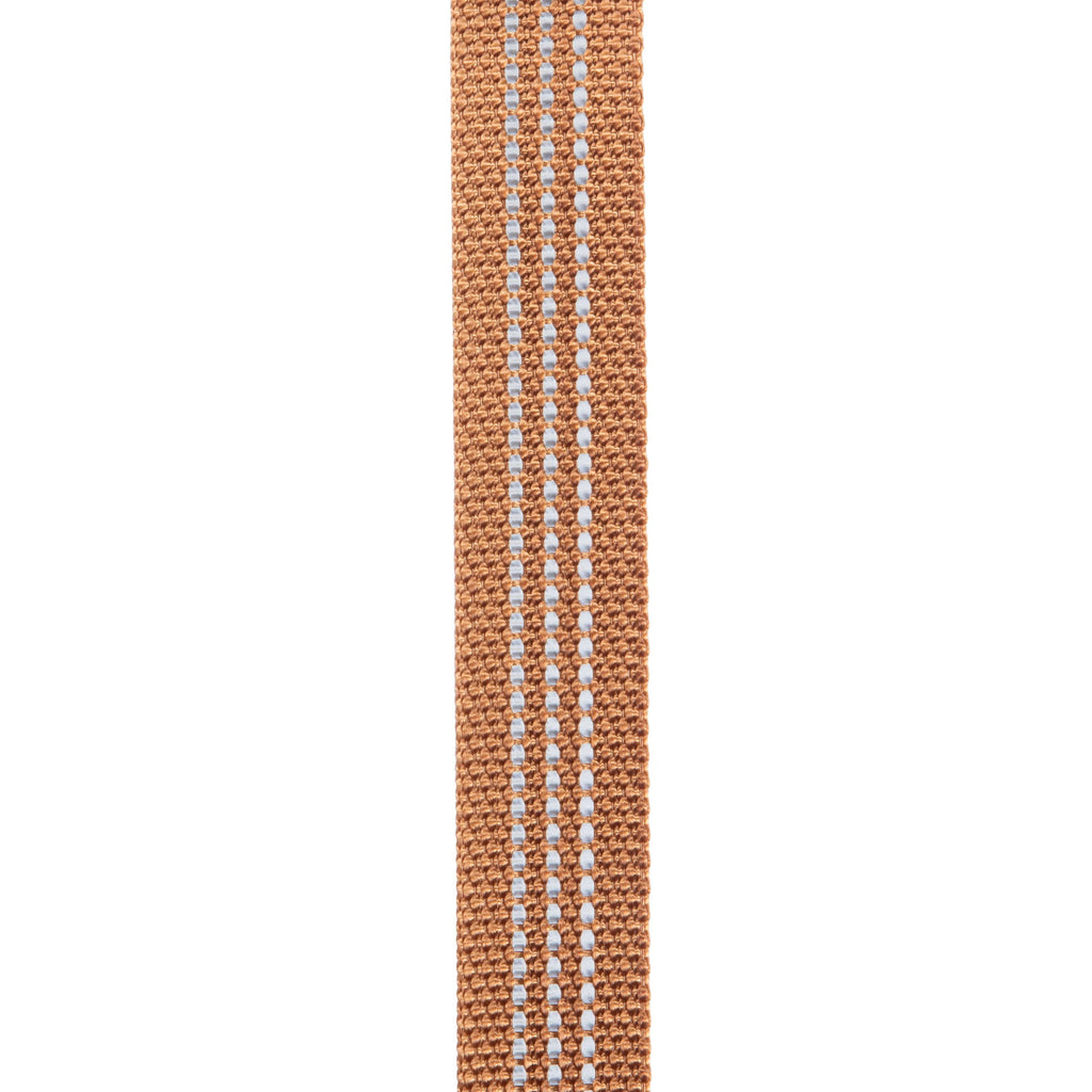 Field dog leash