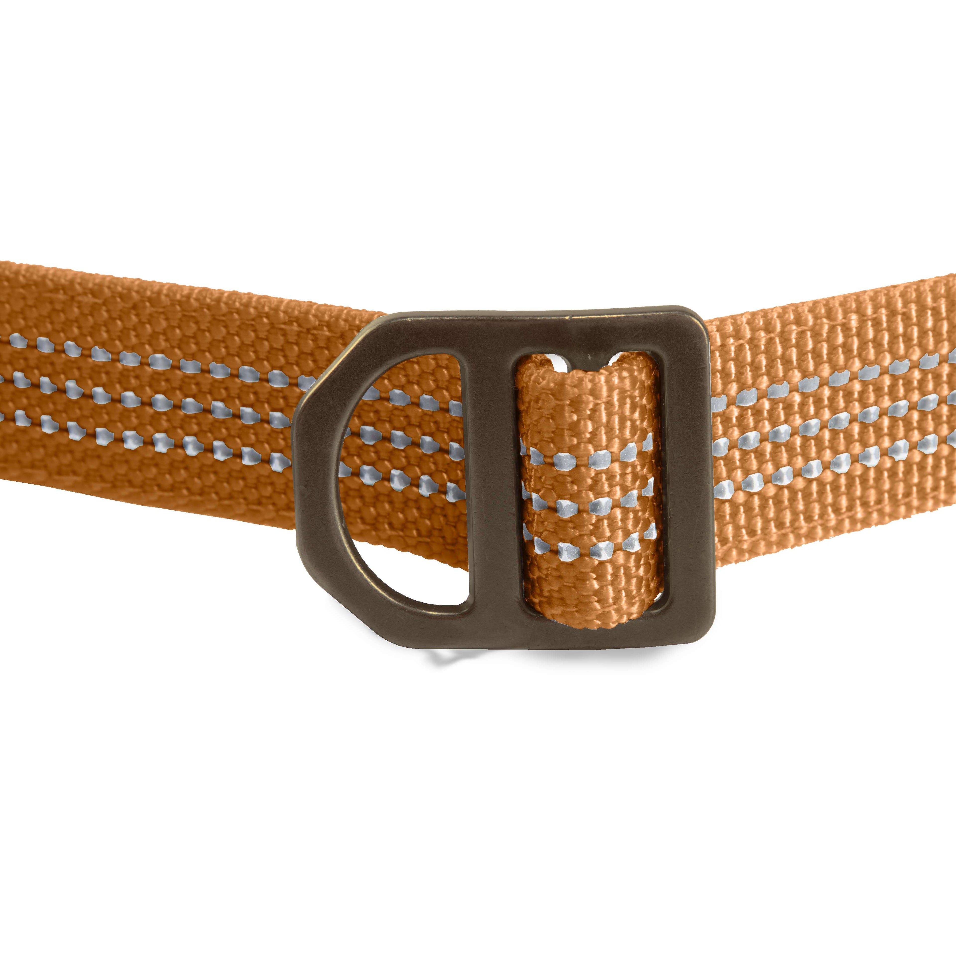 Field dog leash