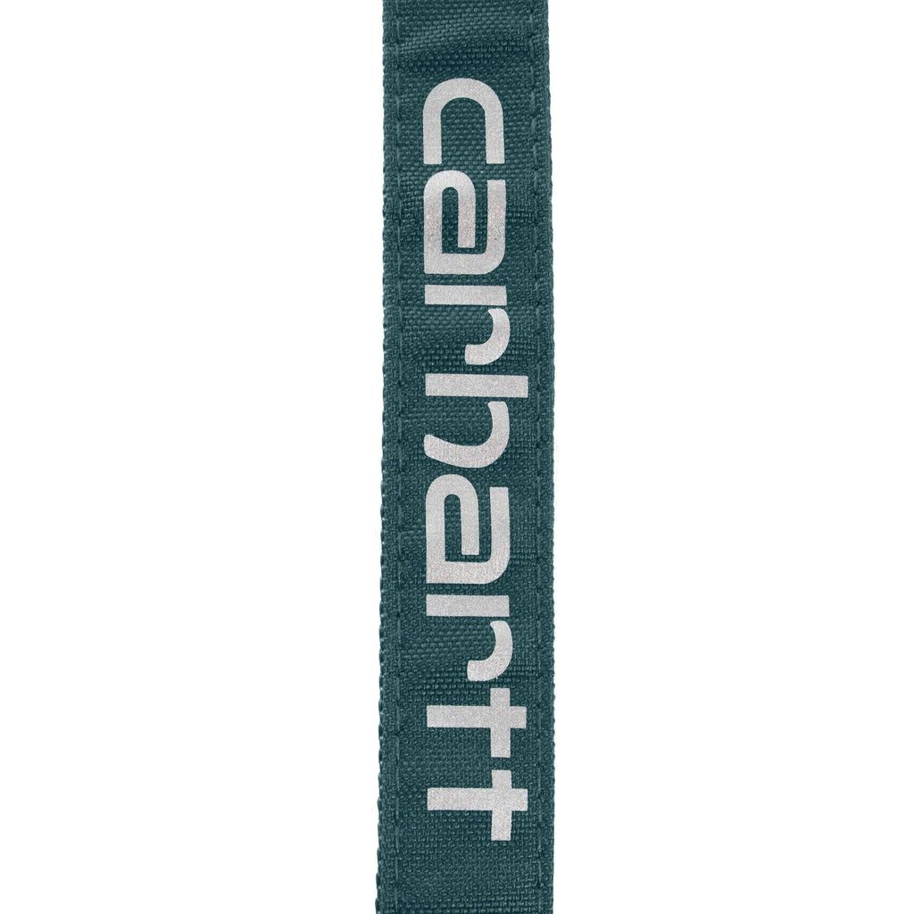 Field dog leash