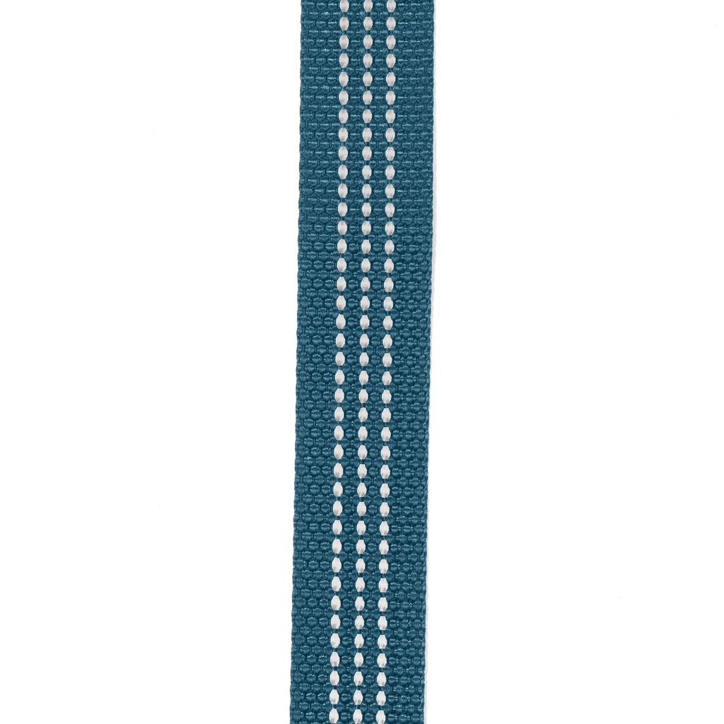Field dog leash