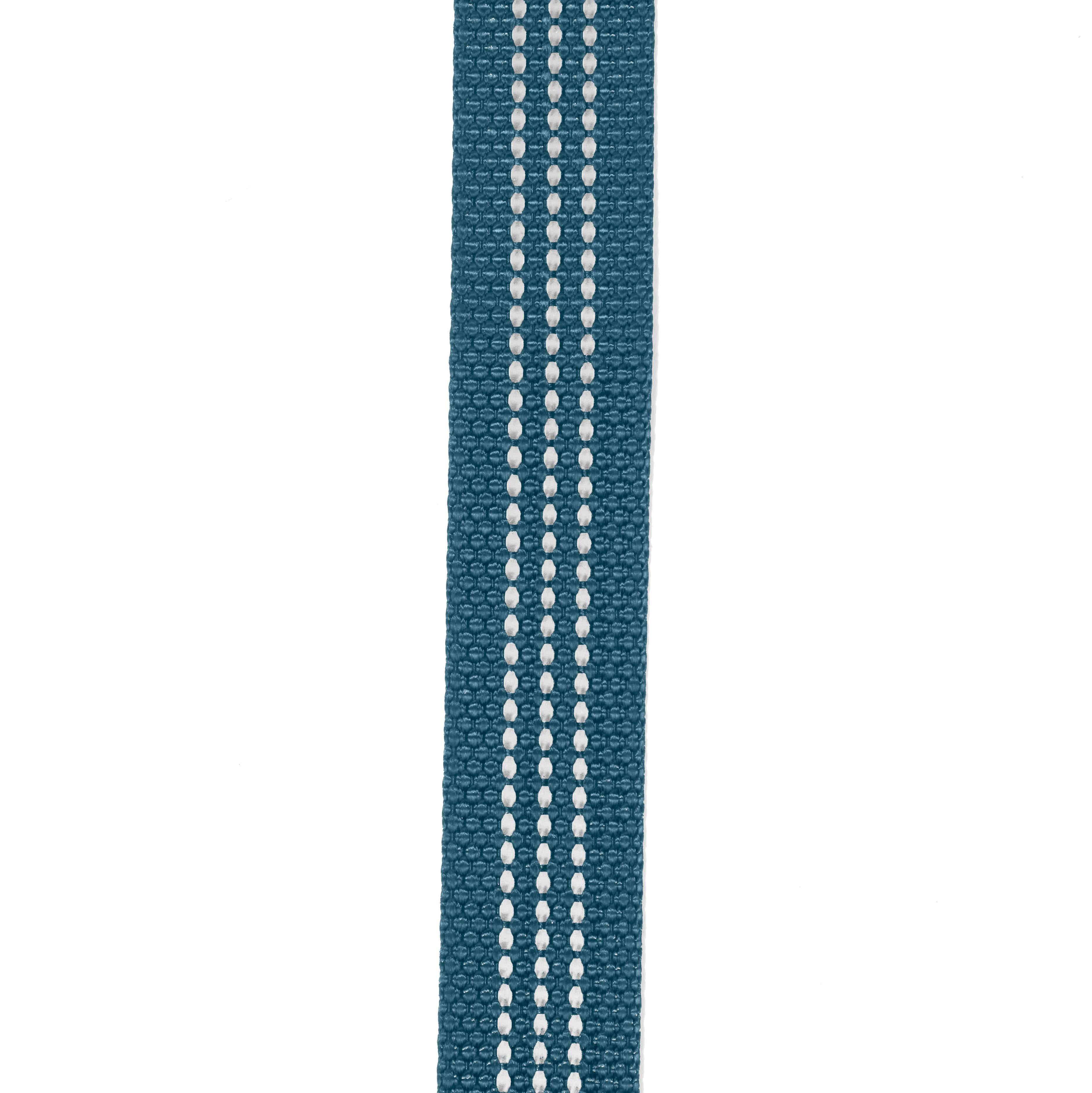 Field dog leash