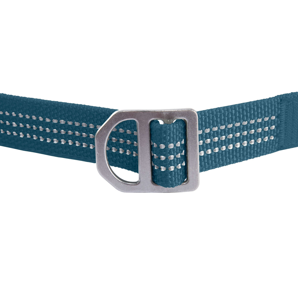 Field dog leash