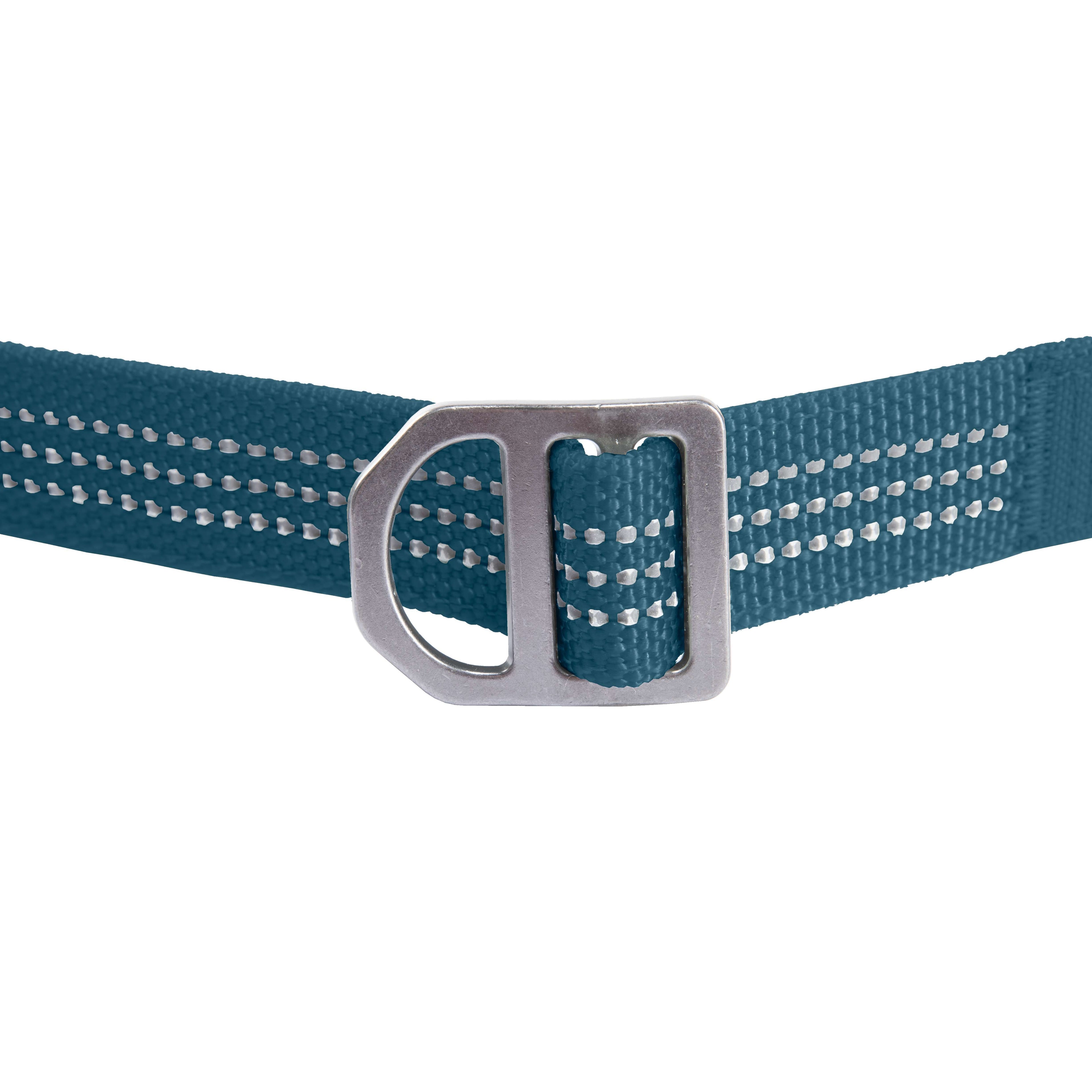 Field dog leash