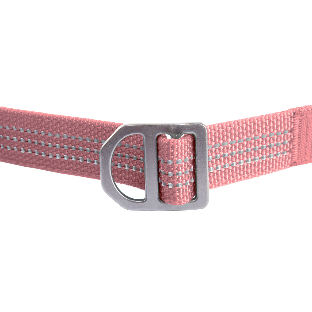 Field dog leash