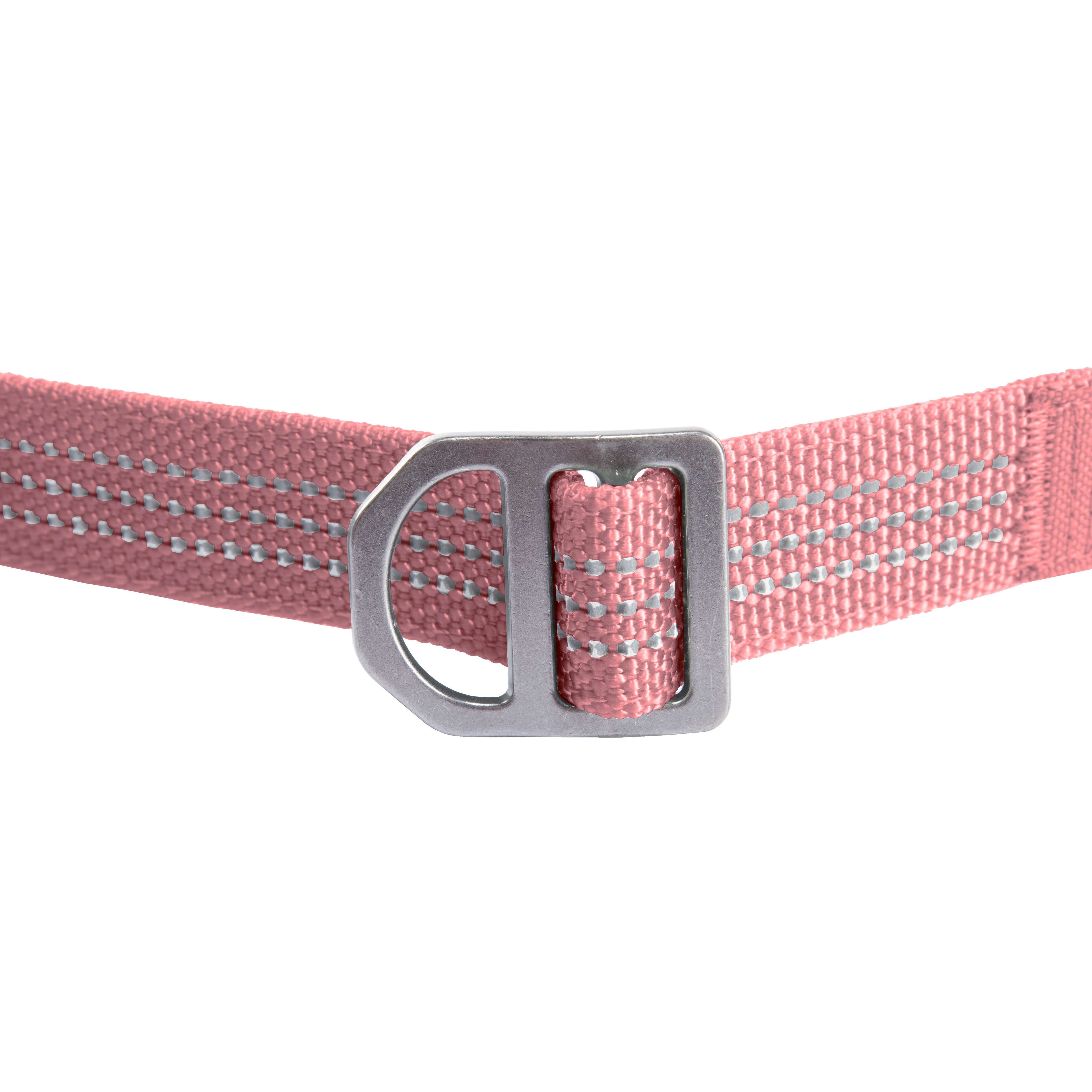 Field dog leash
