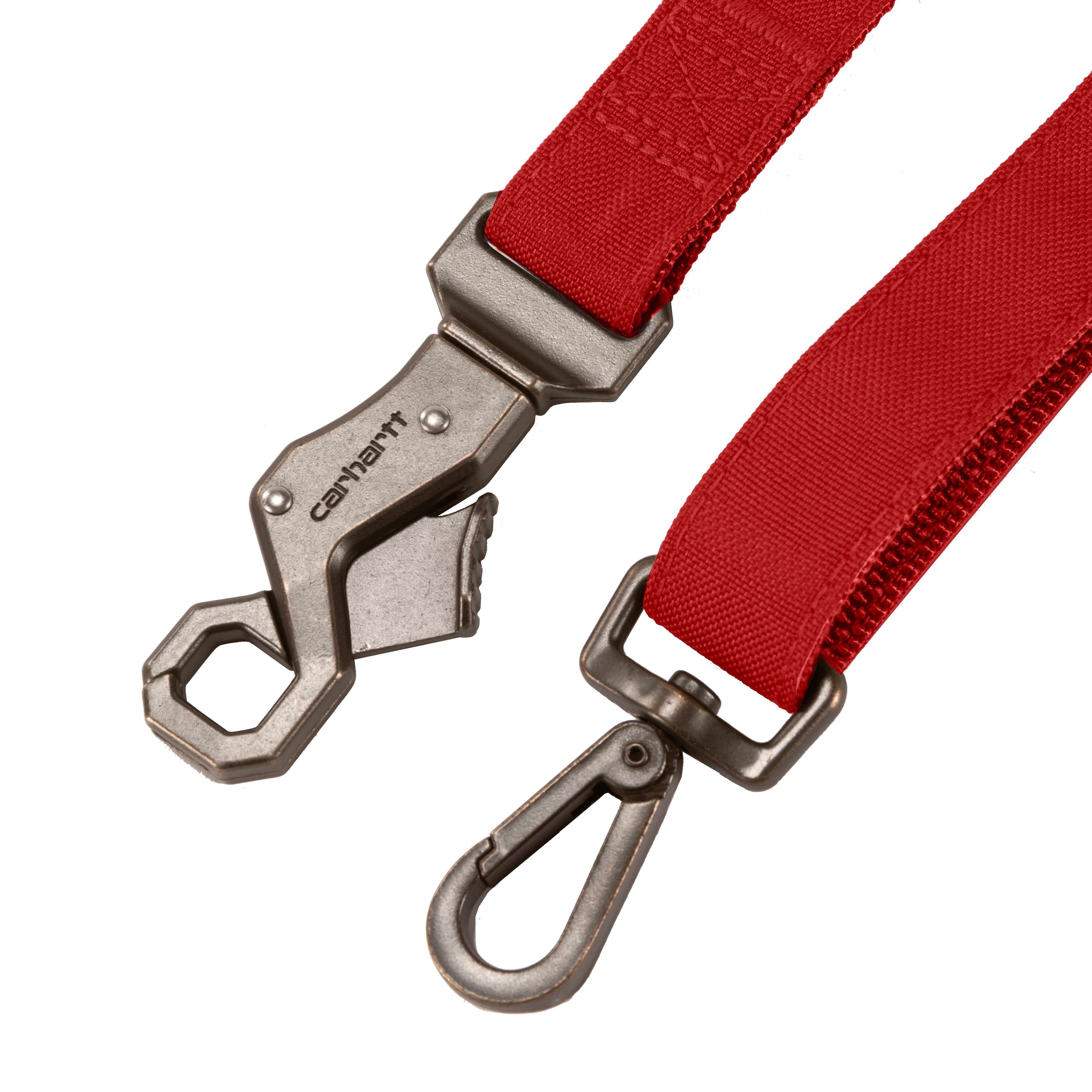 Field dog leash