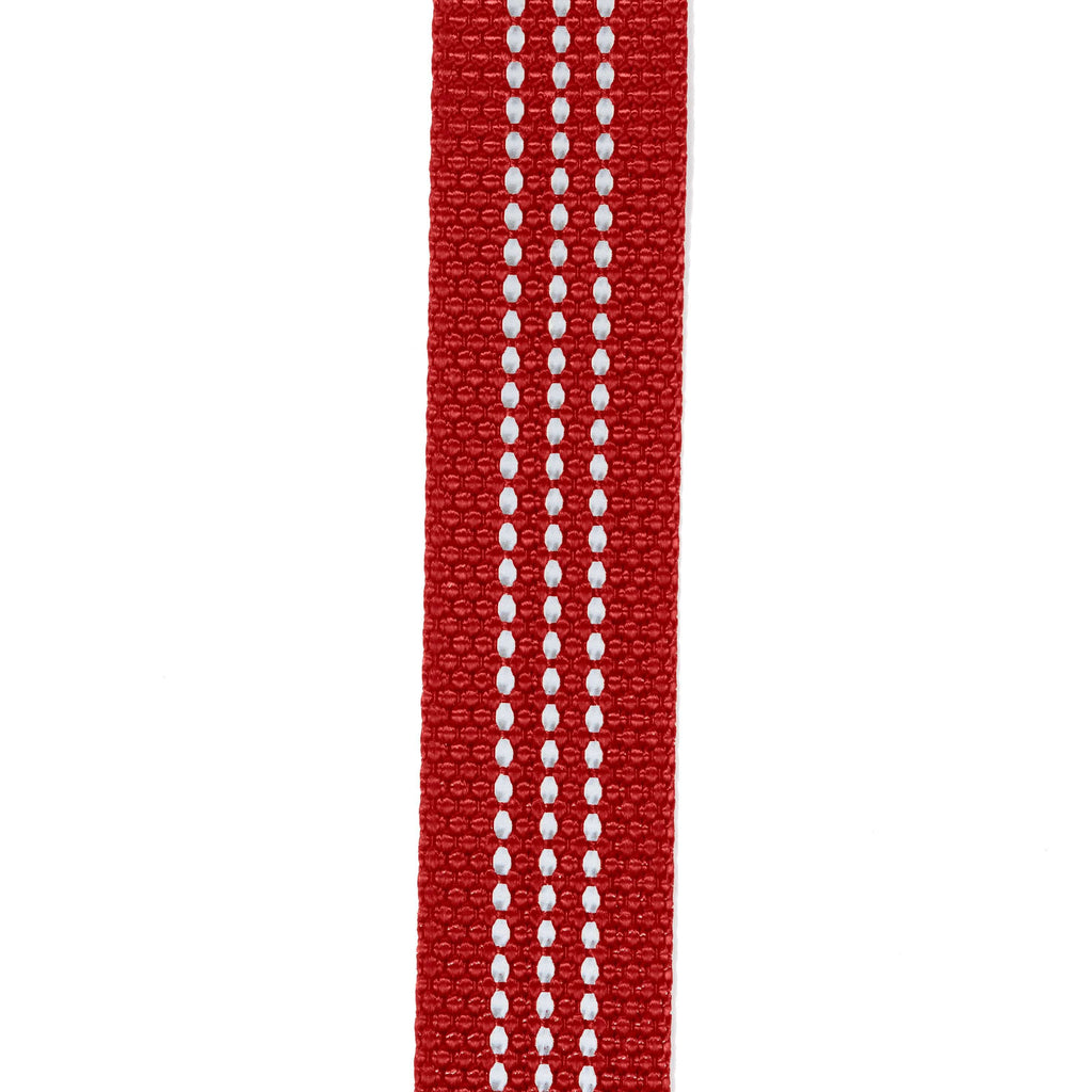Field dog leash