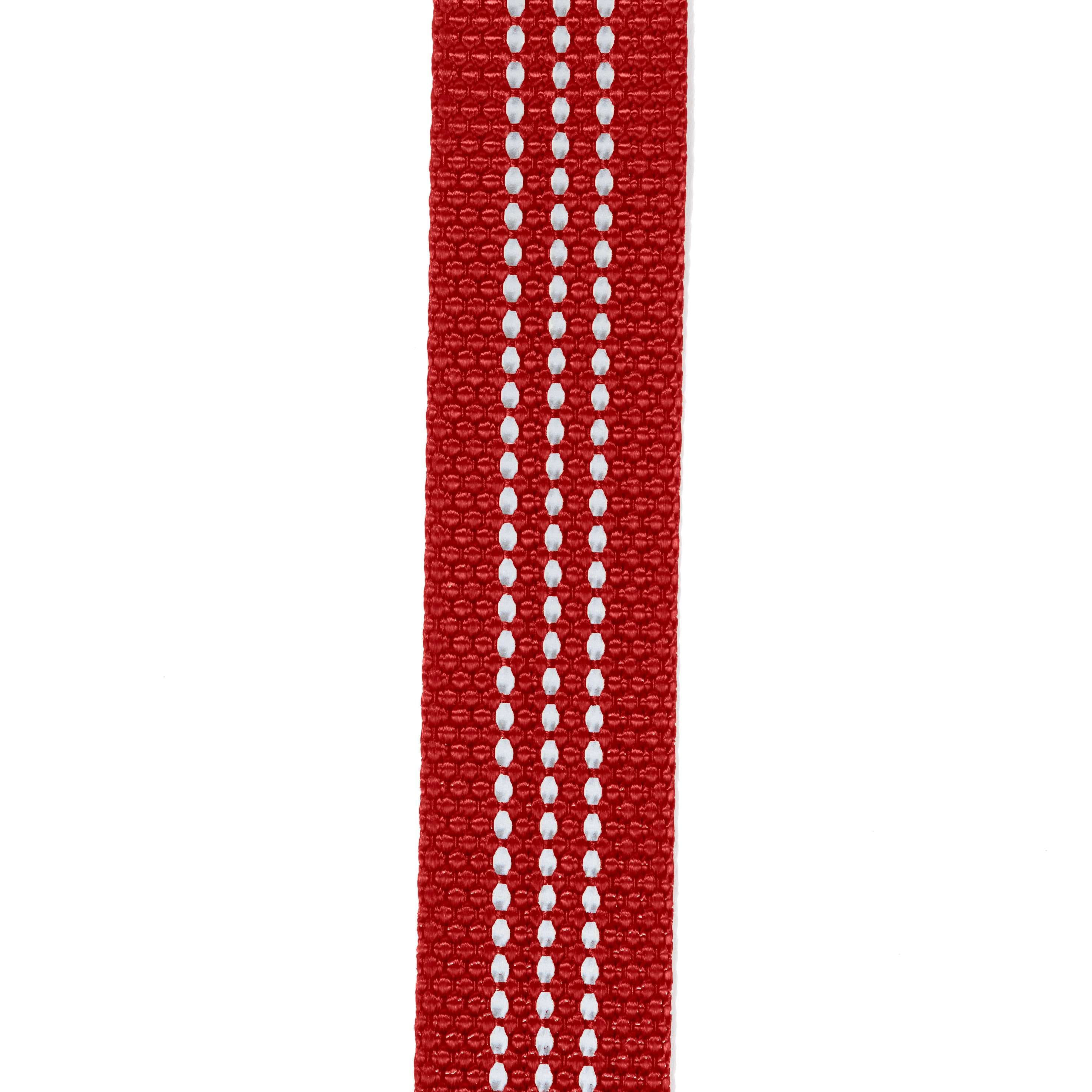 Field dog leash