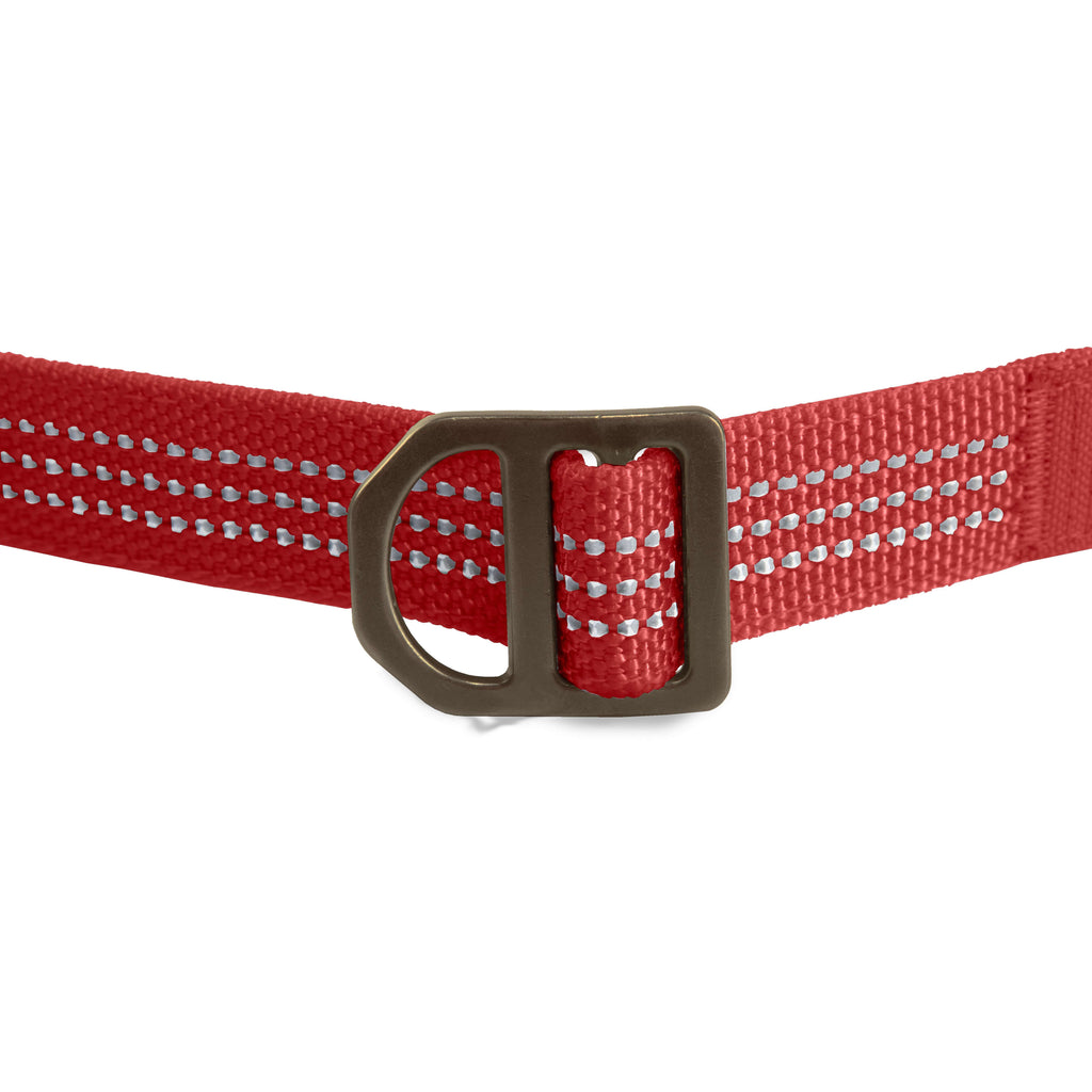 Field dog leash